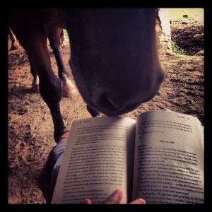 Nelson, nosy about my book