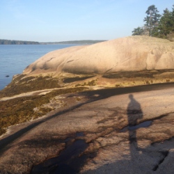 Reflecting Shadows, Maine